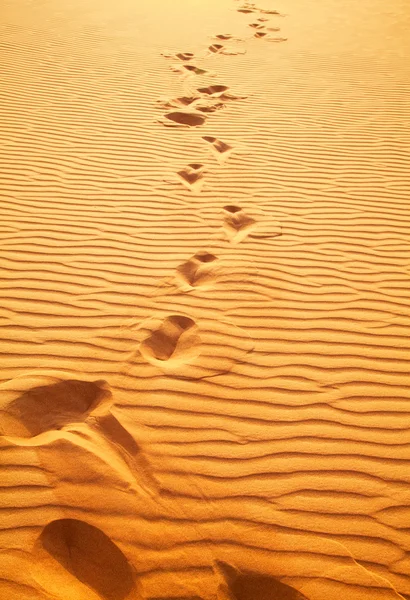 Desierto de arena roja — Foto de Stock