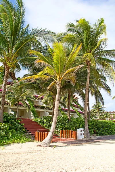 Sandstrand i Cancun — Stockfoto