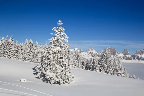 Zima w szwajcarskich Alpach — Zdjęcie stockowe