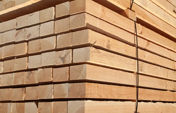 Pernos de madera fresca — Foto de Stock