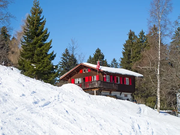 Vinter i de schweiziske alper - Stock-foto