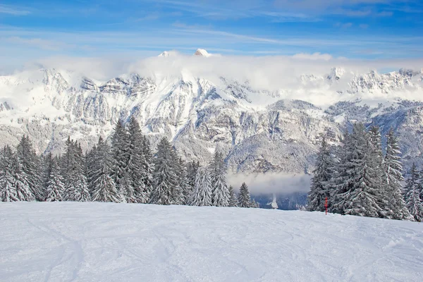 L'hiver dans les Alpes — Photo