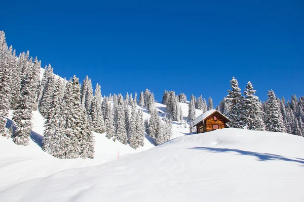 Invierno en los alpes suizos — Foto de Stock