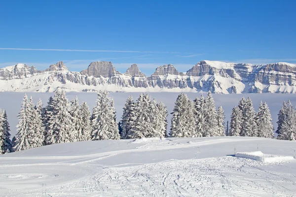 Typiska schweiziska säsong vinterlandskap — Stockfoto