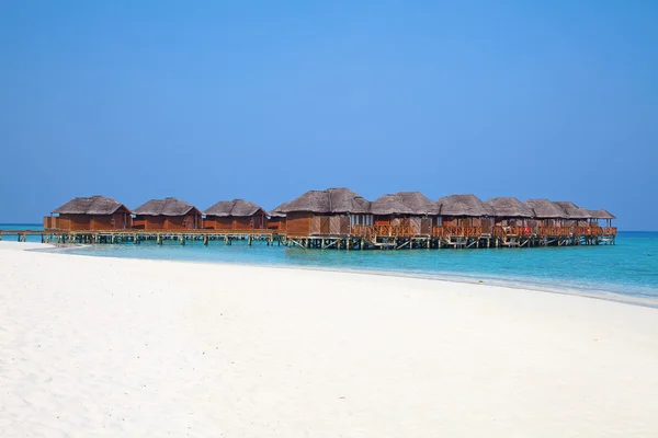 Isla de Maldivas en los trópicos . —  Fotos de Stock