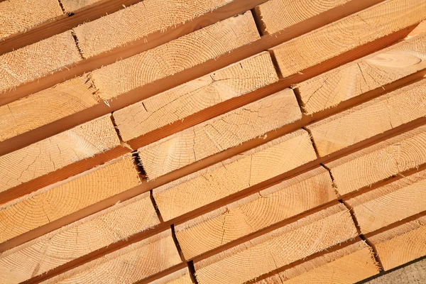 Fresh wooden studs — Stock Photo, Image