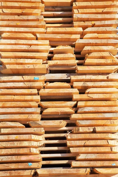 Frische Holznieten — Stockfoto