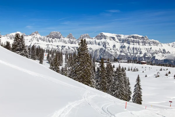 Winter in de Zwitserse Alpen — Stockfoto