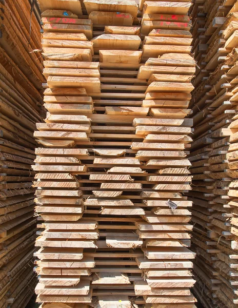 Borchie di legno fresco — Foto Stock