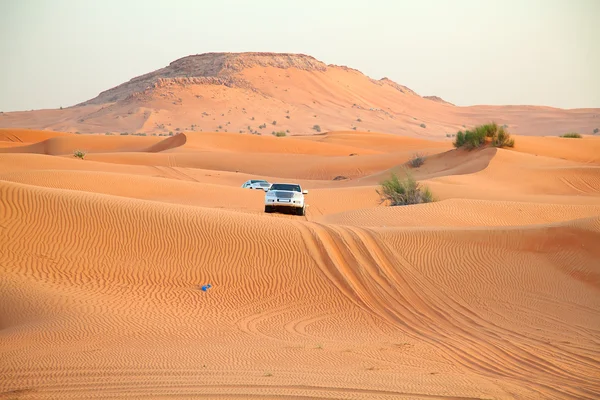 Red sand "Arabian desert" near Dubai Stock Photo