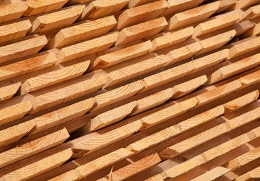 taze ahşap Çıtçıt