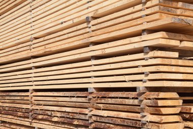 taze ahşap Çıtçıt