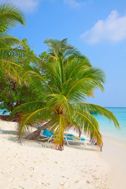 güzel Maldiv Adası