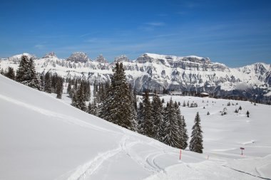 İsviçre Alpleri'nde kış