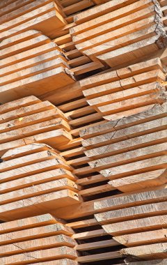 taze ahşap Çıtçıt