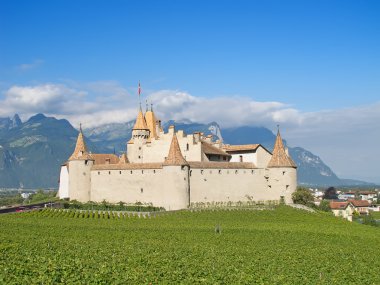 Vaud kantonu Kalesi Chateau d'Aigle