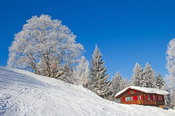Winter in swiss alps — Stock Photo, Image