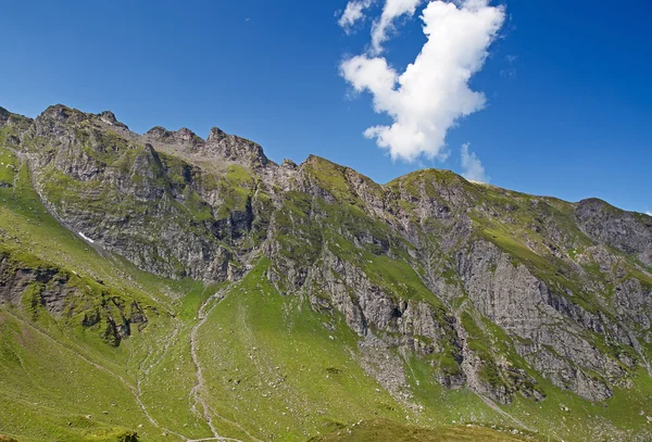 Caminhadas em alpes suíços — Fotografia de Stock