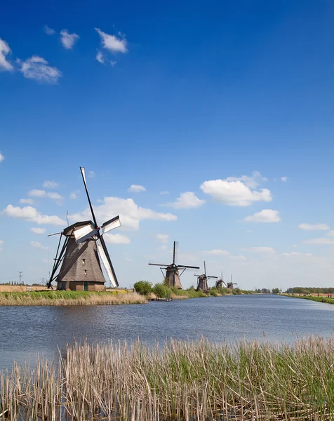 Molinos de viento antiguos cerca de Kinderdijk —  Fotos de Stock