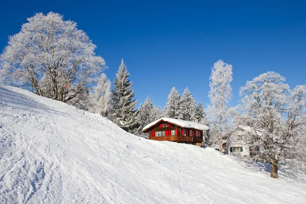 Vinter i schweiziska Alperna — Stockfoto