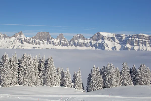 Invierno en los Alpes suizos — Foto de Stock