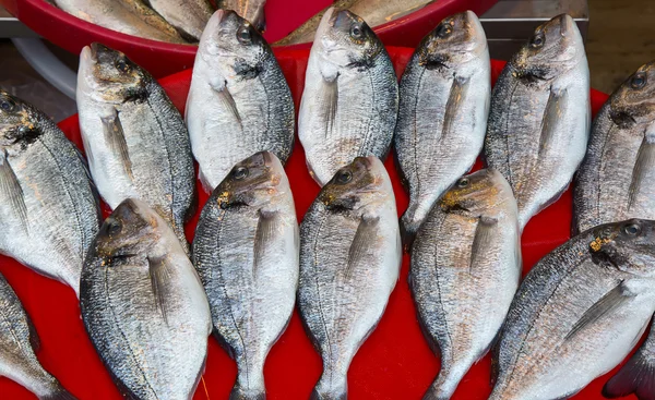 Mercato del pesce fresco — Foto Stock