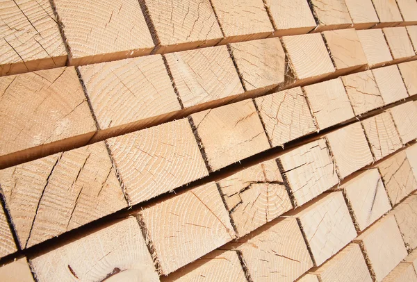 Nuovi borchie di legno — Foto Stock