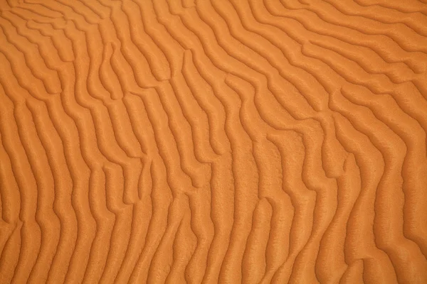 Désert de sable rouge — Photo