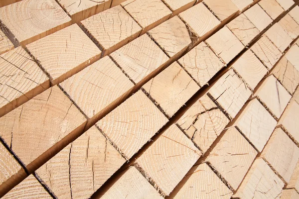 Fresh wooden studs — Stock Photo, Image