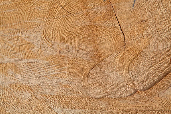 Perno de madera fresca — Foto de Stock