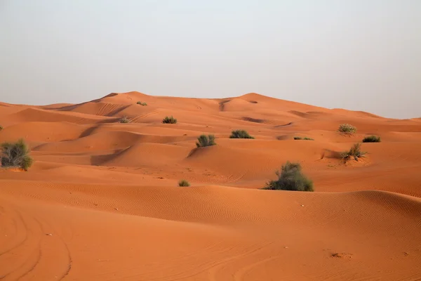 Červený písek pouště — Stock fotografie