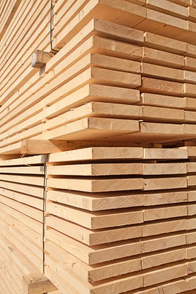 Borchie di legno fresco — Foto Stock