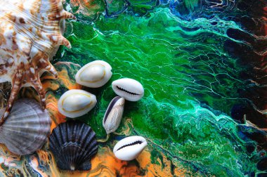 Parlak bir arka planda deniz kabukları. Akrilik Dökümü