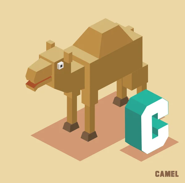 C for Camel Animal Alphabet collection — Stock Vector