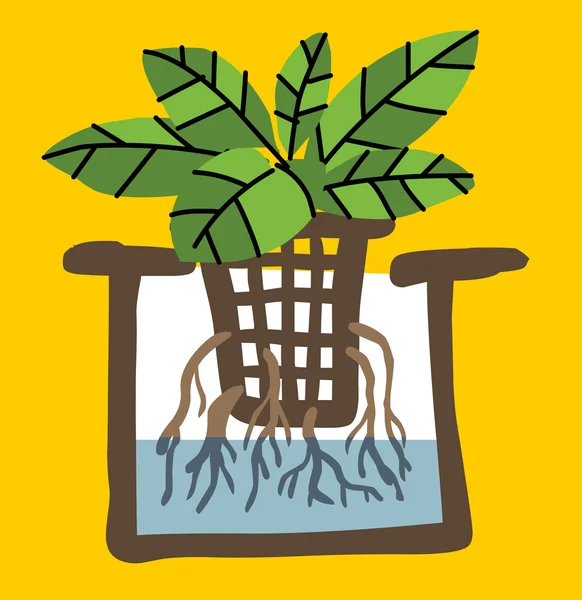 Planta de agricultura hidropónica — Vector de stock