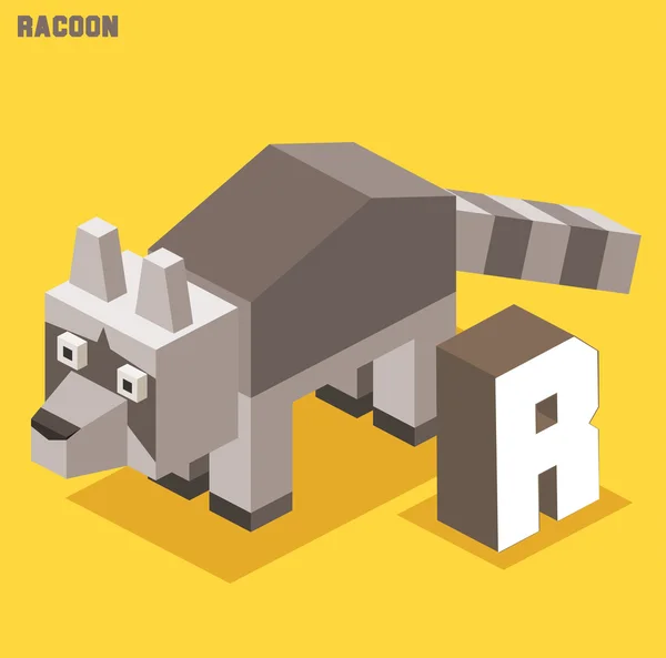R dla racoon. Kolekcja alfabet zwierząt — Wektor stockowy