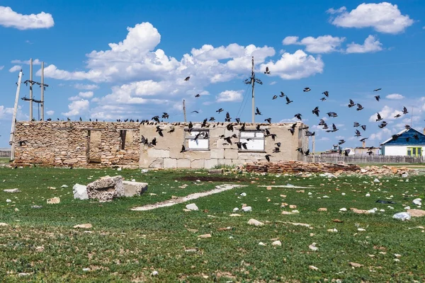 一大群黑鸟飞过这所房子的废墟 — 图库照片