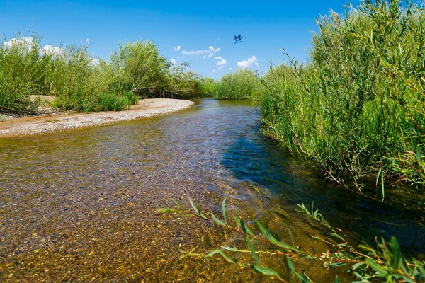 Landscape with river and blue sky. — Stock Photo, Image