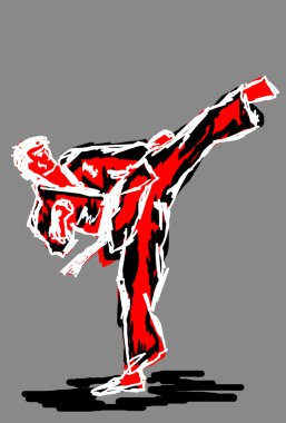 Karate, Taekwondo yüksek tekme yoko gery.