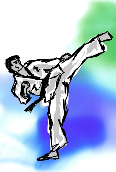 Karate, Taekwondo alta patada yoko gery. —  Fotos de Stock