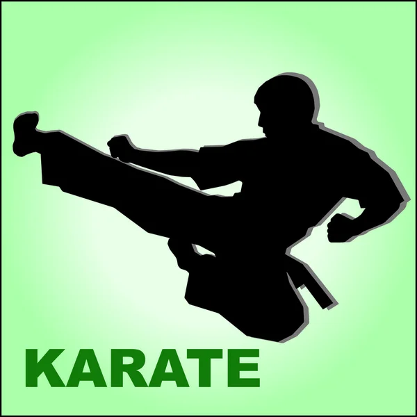 Karate yüksek tekme olarak atlama. Dövüş sanatları. — Stok Vektör