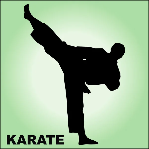 Karate high kick. MARTIAL ARTS. — Stock Vector