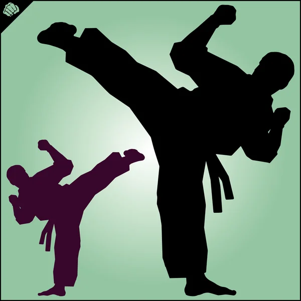 Καράτε. Taekwon-do. Kyokushinkai. Πολεμική τέχνη. — Διανυσματικό Αρχείο