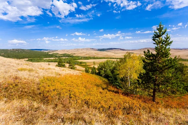 Beautiful landscape — Stock Photo, Image