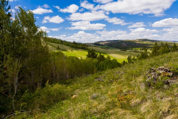 Beautiful landscape — Stock Photo, Image