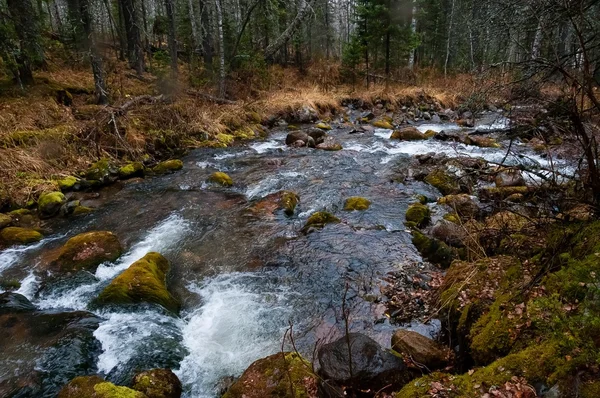 Beau paysage automnal pluvieux rivière — Photo