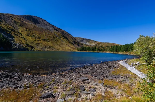 Schöne Landschaft — Stockfoto