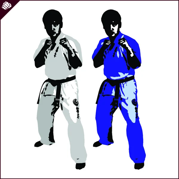 Combat contact karate black belt fighter in kamae, kimono. — Stock Photo, Image