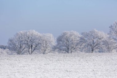 Kuzey Almanya 'da Kış Idyll