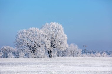 Kuzey Almanya 'da Kış Idyll